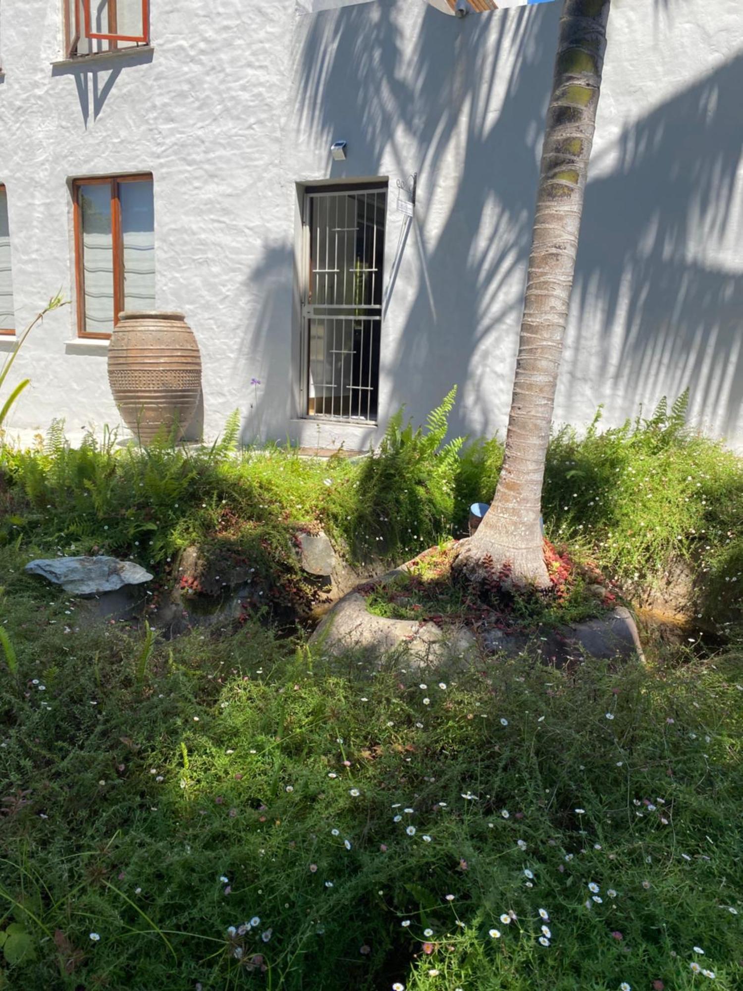 Little Fern Self Catering Hotel George Bagian luar foto